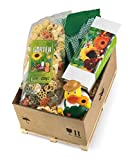 33 coole Geschenke für Gärtner & Hobbygärtner 🎁